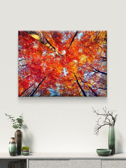 Nature Scenery Premium Canvas Painting